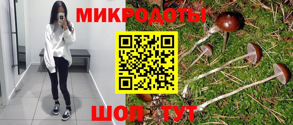 Азнакаево  Псилоцибиновые грибы Psilocybe  Вход с VPN 